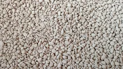 Am adăugat asta în sol — și plantele au încetat să putrezească și să se ofilească