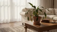 Frunzele atârnă și se îngălbenesc? Nu vă grăbiți să le udați — aflați adevărata cauză